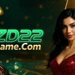 ZD22 Game Icon