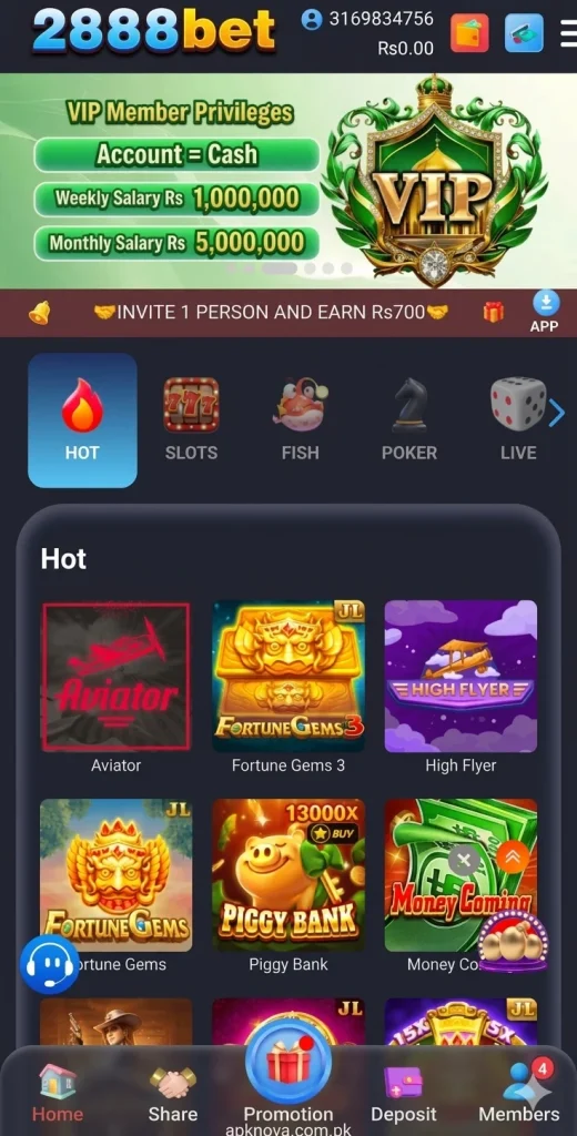 PAK 2888 Game Interface