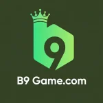 B9 Game Icon