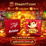 Dream17 Game